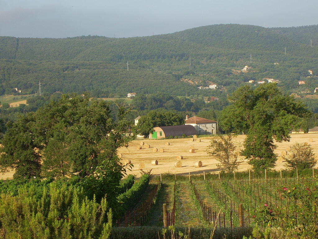 נארני Agriturismo Regno Verde מראה חיצוני תמונה