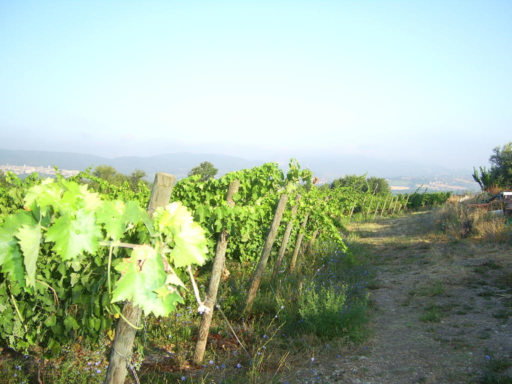 נארני Agriturismo Regno Verde מראה חיצוני תמונה