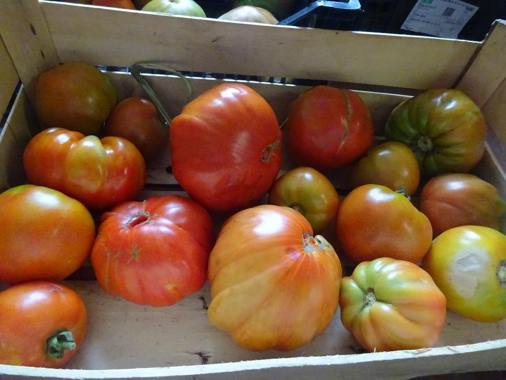 נארני Agriturismo Regno Verde מראה חיצוני תמונה